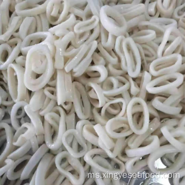 Frozen Squid Rings EU Dirawat Todarodes Pacificus Rings